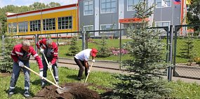 Металлурги благоустроили территорию городского спортивного кластера
