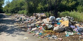 Время идет, свалка неизменна: В Орске в куче на Базарной есть все – от яблок и коробок до старых мусорных баков