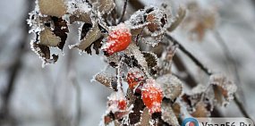 В среду и четверг в Оренбургской области ожидаются морозы до –30°С