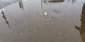 В центре Оренбурга появились «мини-гейзеры» (видео)