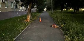 На месте происшествия. Фото: УМВД по Оренбургской области
