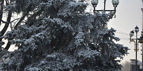 Осадки и перепад температуры от 0 до -19°С: прогноз погоды в Оренбургской области на неделю