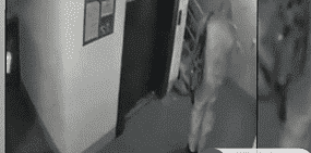 Убийство Дмитрия Ш.: основной версии у Следственного комитета нет