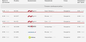 Пассажирам самолета Оренбург – Сочи придется встретить Новый год в аэропорту. Задерживаются сразу несколько рейсов