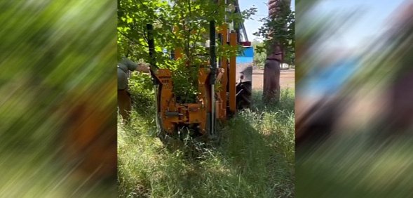 В центральном парке Орска пересаживают деревья, попавшие в зону реконструкции