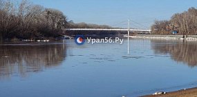 137 см за сутки: Сакмара в районе Татарской Каргалы продолжает интенсивно расти. Эта река впадает в Урал