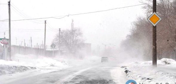 Метель, фото: архив