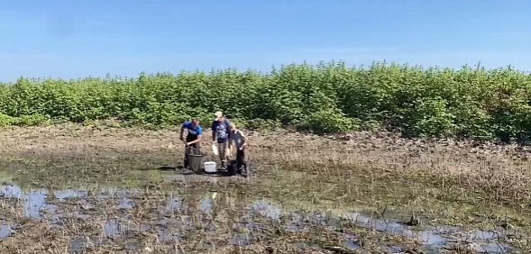В Оренбургской области из «озер», оставшихся после разлива рек, начали вылавливать молодь