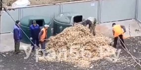 В Орске коммунальщики дробленые ветки лопатами закидывают в контейнеры для ТКО (видео)