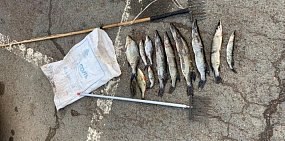Рыбака из Сакмарского района могут посадить на два года за незаконную ловлю рыбы