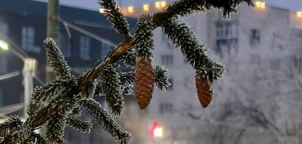 Прогноз погоды на завтра