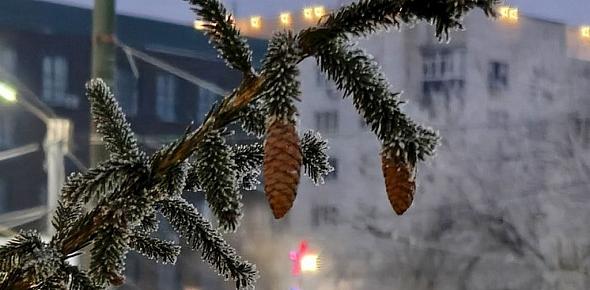 Прогноз погоды на завтра