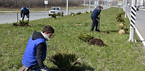 Субботник в Оренбурге. Источник фото: администрация города 