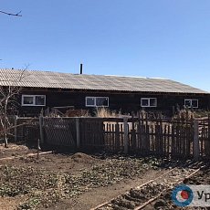 Свинарник в поселке Джанаталап