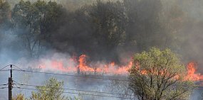 Лесники Оренбургской области получат новую технику для тушения пожаров 