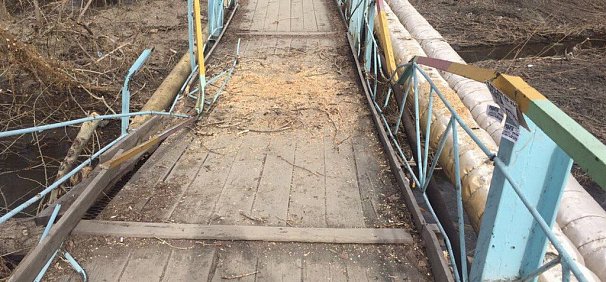 В Орске упавшее дерево повредило пешеходный мост через Елшанку