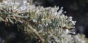 В Оренбургской области резко похолодает до -25°С