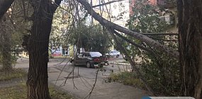 В Орске ветер повалил деревья и сорвал крышу 