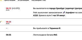 Около 20 рейсов были задержаны в аэропорту Шереметьево