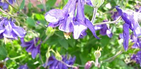 Какая погода ждет жителей Оренбурга и Орска на этой неделе