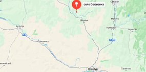 В селе Оренбургской области ввели карантин по бешенству