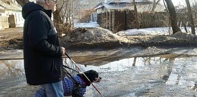 В Оренбурге кондуктор троллейбуса потребовала с незрячего пассажира оплату за проезд собаки-поводыря