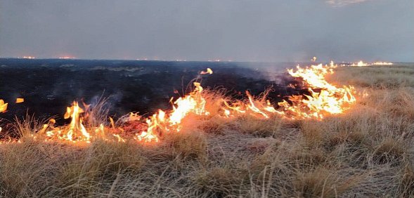 Степь в районе аэропорта в Орске в огне: ТОП-3 фото