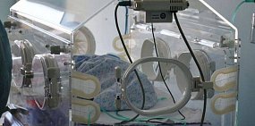 В одном из роддомов Оренбургской области