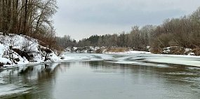 Река Самара в Бузулукском бору. Фото пресс-служба 