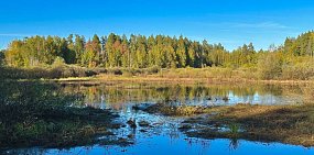 Осень в нацпарке Бузулукский бор. Источник: пресс-служба национального парка Бузулукский бор