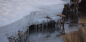 Жителей Оренбургской области на этой неделе ожидает плюсовая температура