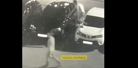 Видео: В Оренбурге молодой человек прыгал по машинам