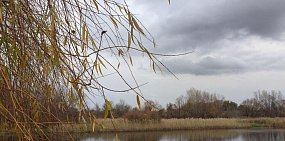 Осень в Оренбургской области 