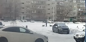 Нападение на ребенка. Стоп-кадры из видео от подписчиков 