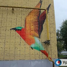 В Оренбурге на зданиях появились 6 новых граффити