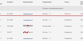 В Оренбурге сегодня отменили один из дневных самолетов в Москву