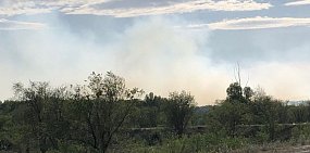 Пожар в лесополосе на берегу Урала, Орск. 03.06.2019