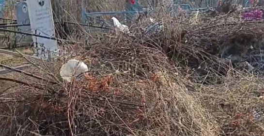 Кладбище в поселке Нагорный завалено мусором и ветками, фото: скрин видео из тг чата Евгения Солнцева