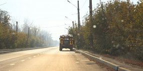 В Орске на содержание лесов выделяется почти 1,5 млн руб. в год