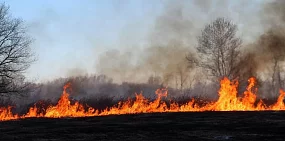 В Оренбургской области сохраняется максимальный уровень пожарной опасности