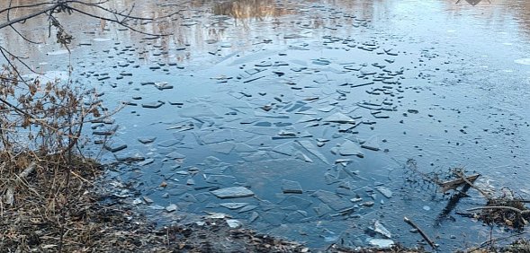 На месте происшествия. Источник: Следственный комитет по Оренбургской области