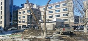В Оренбурге водители превратили газон в парковку