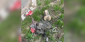 В Оренбурге в новом жилом комплексе причиной засора канализации стала... секс-игрушка