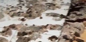 Канализация на первом этаже в подъезде, фото: скрин видео местных жителей