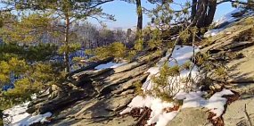 Стоп карды из видео А.Камалутдинова, тг-канал Окувандык