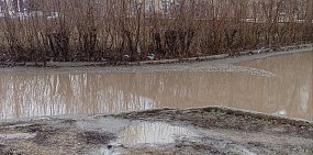 Лужа на пути в поликлинику. Фото прислали местные жители 