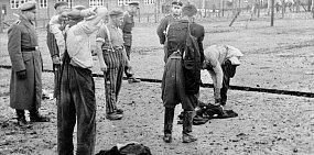 Новые подробности зверств нацистов: кого отправляли в газовые камеры, от чего умирали дети и зачем в больнице умертвили 1300 человек? (18+)