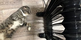 С 29 сентября в Орске пройдут пробные топки. Фото из архива 