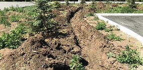 В парке Строителей Орска начали прокладывать водовод для полива голубых елей