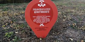 В Бузулуке на улице 3 Сентября высадили рябиновую аллею Шуфутинского